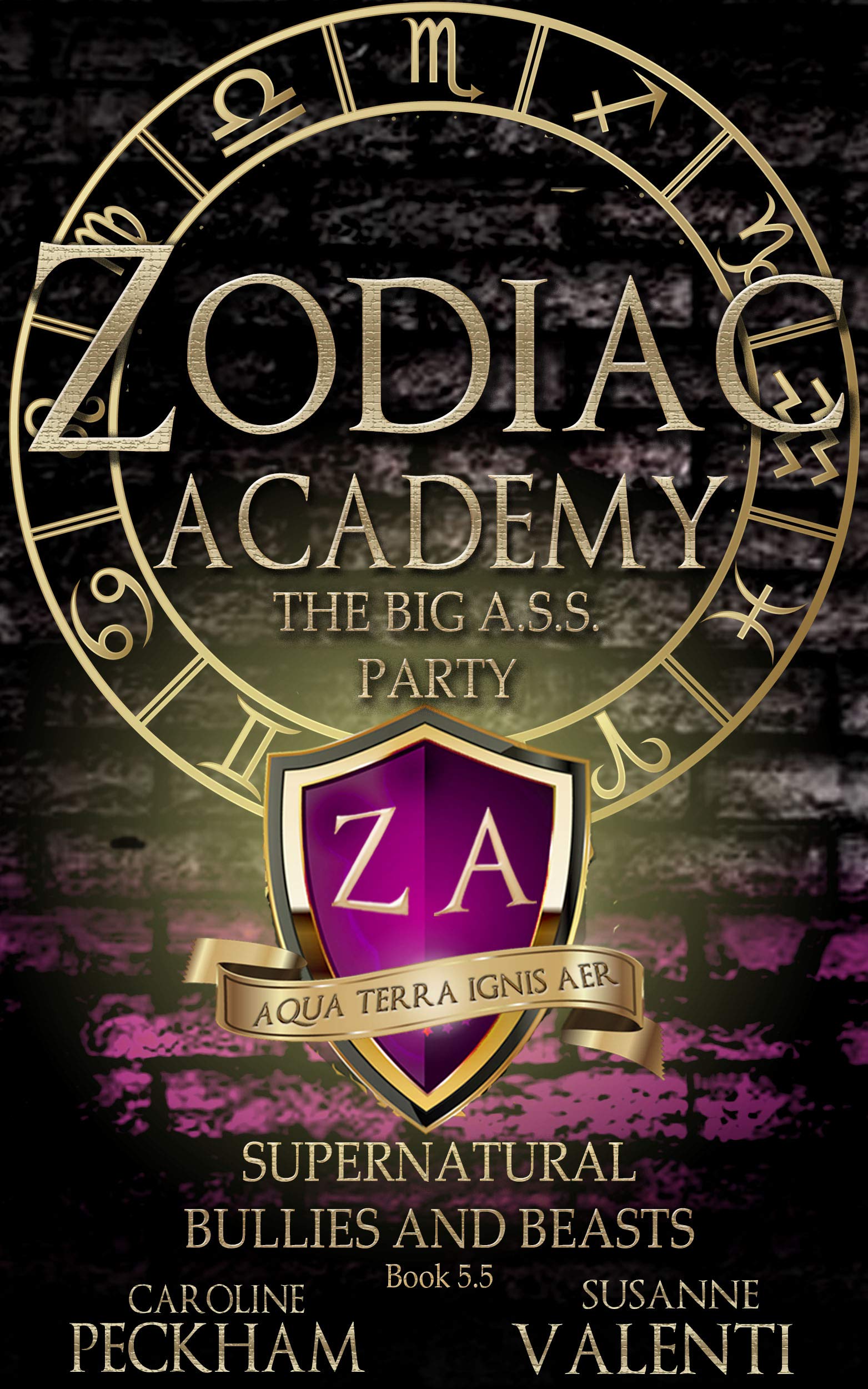 Big A.S.S. Party book cover